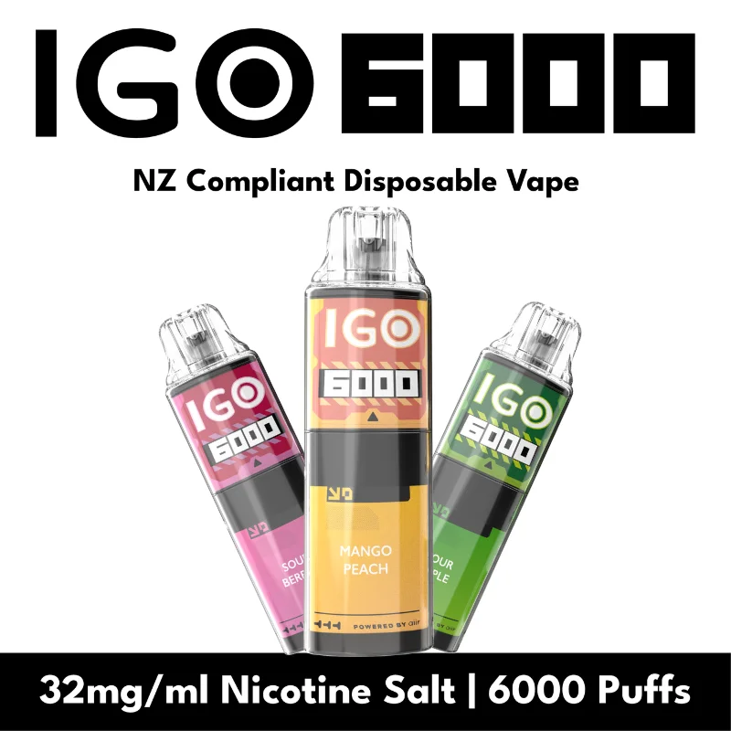 IGO 6000 Rechargeable Disposable Vape 32mg/ml Nicotine Salt (19mg