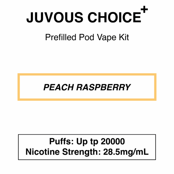 Juvous - Choice Plus - Prefilled Pod Vape Kit - 20000 Puffs - 28.5mg/mL Nicotine - Image 5